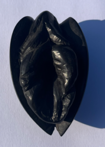 Coquillage